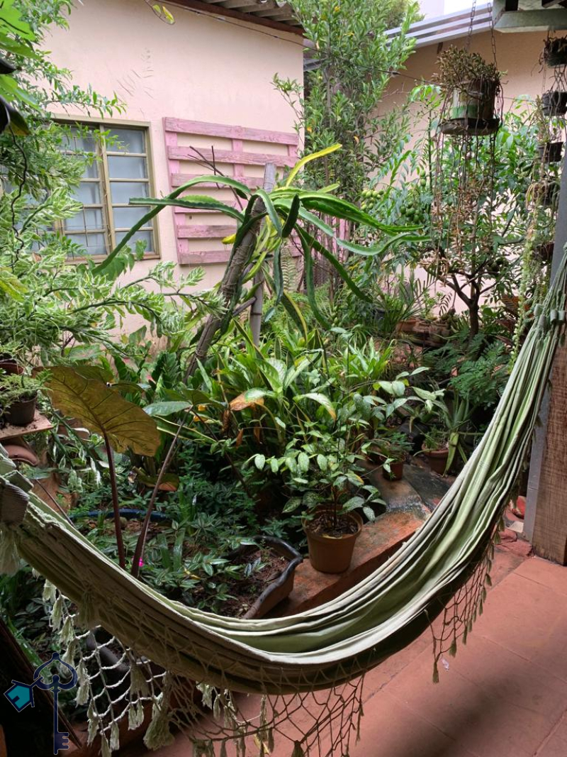 São José do Rio Preto/SP