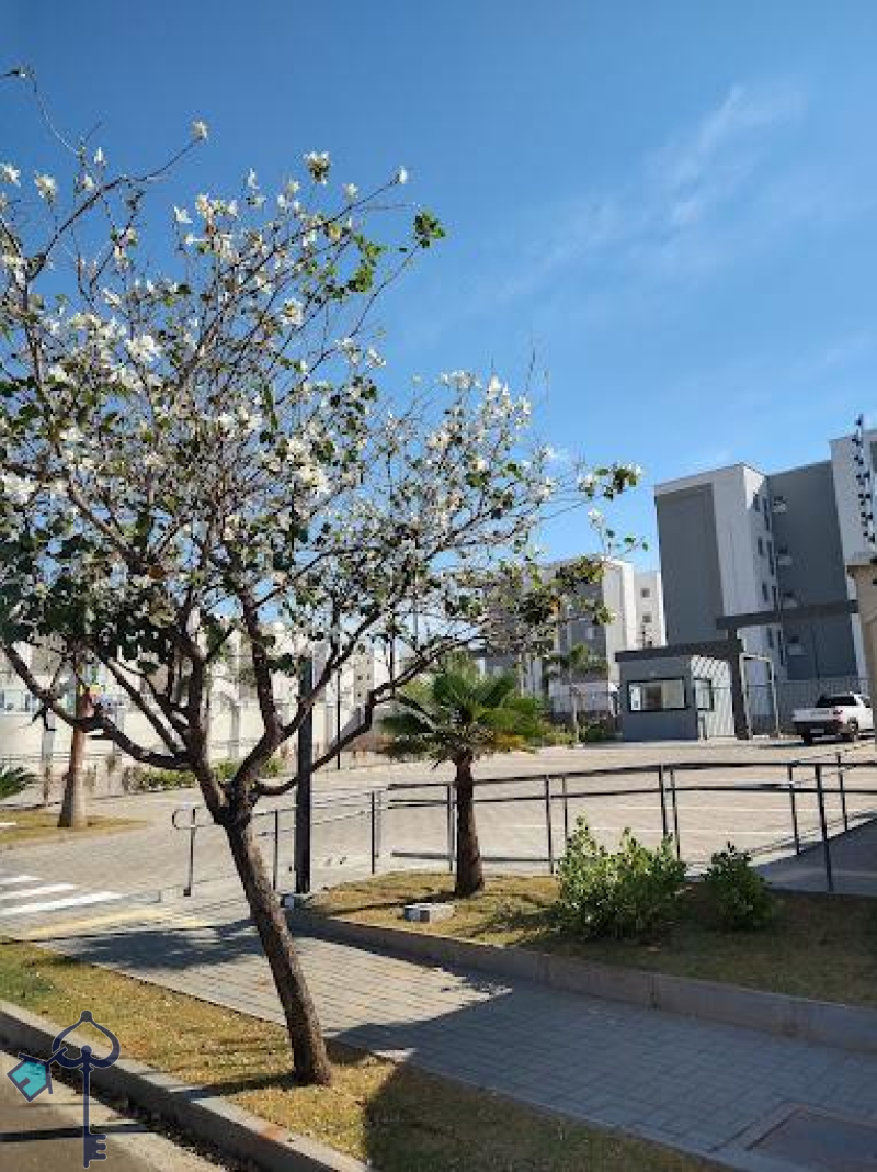 São José do Rio Preto/SP