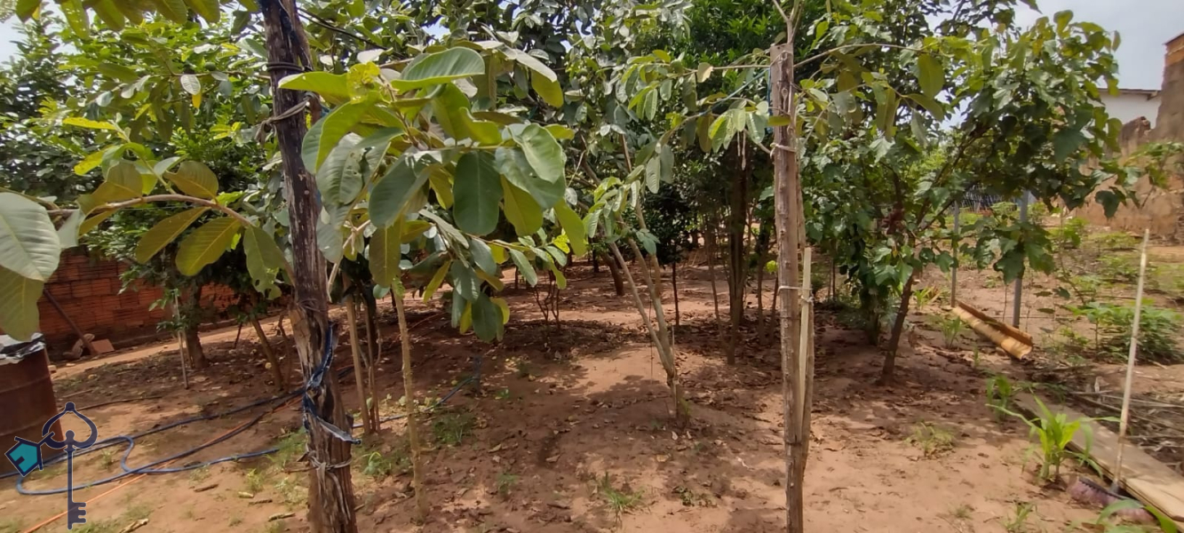 São José do Rio Preto/SP