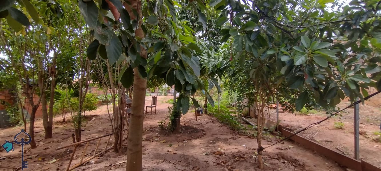 São José do Rio Preto/SP