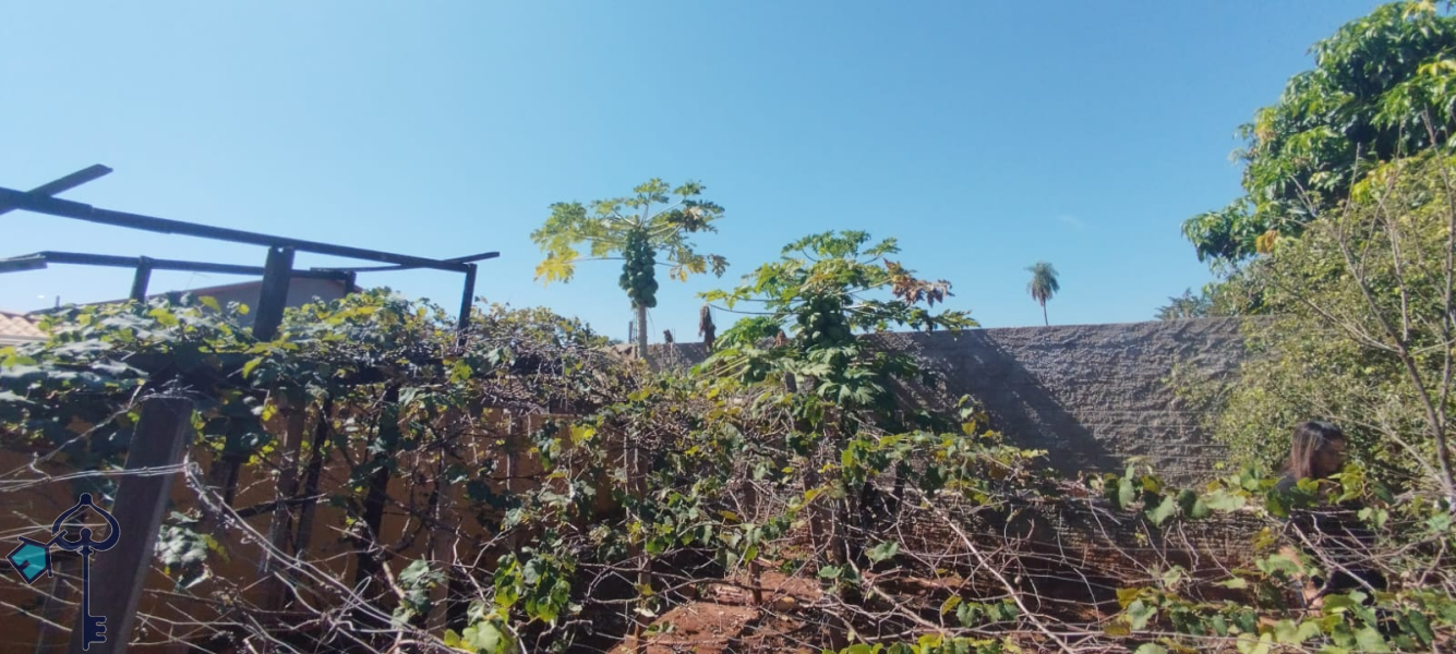 Rubinéia/SP
