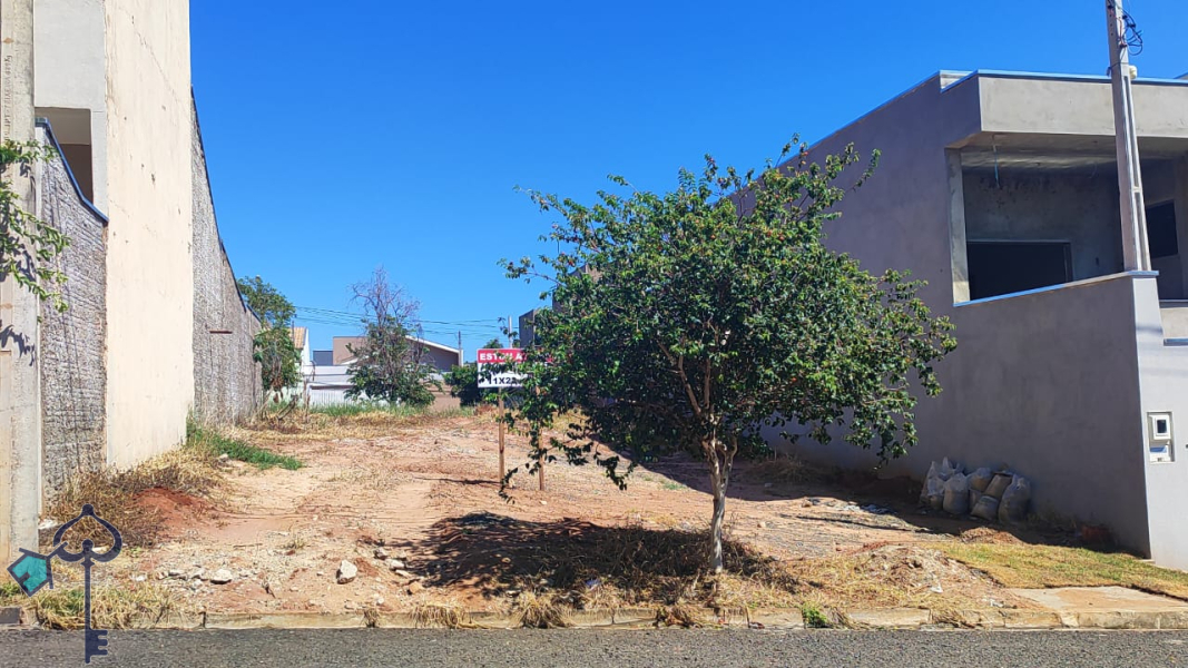 São José do Rio Preto/SP