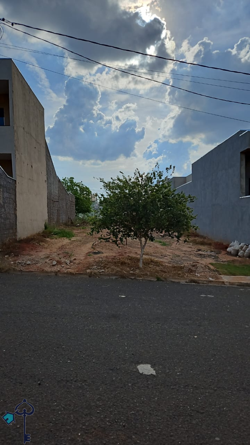 São José do Rio Preto/SP