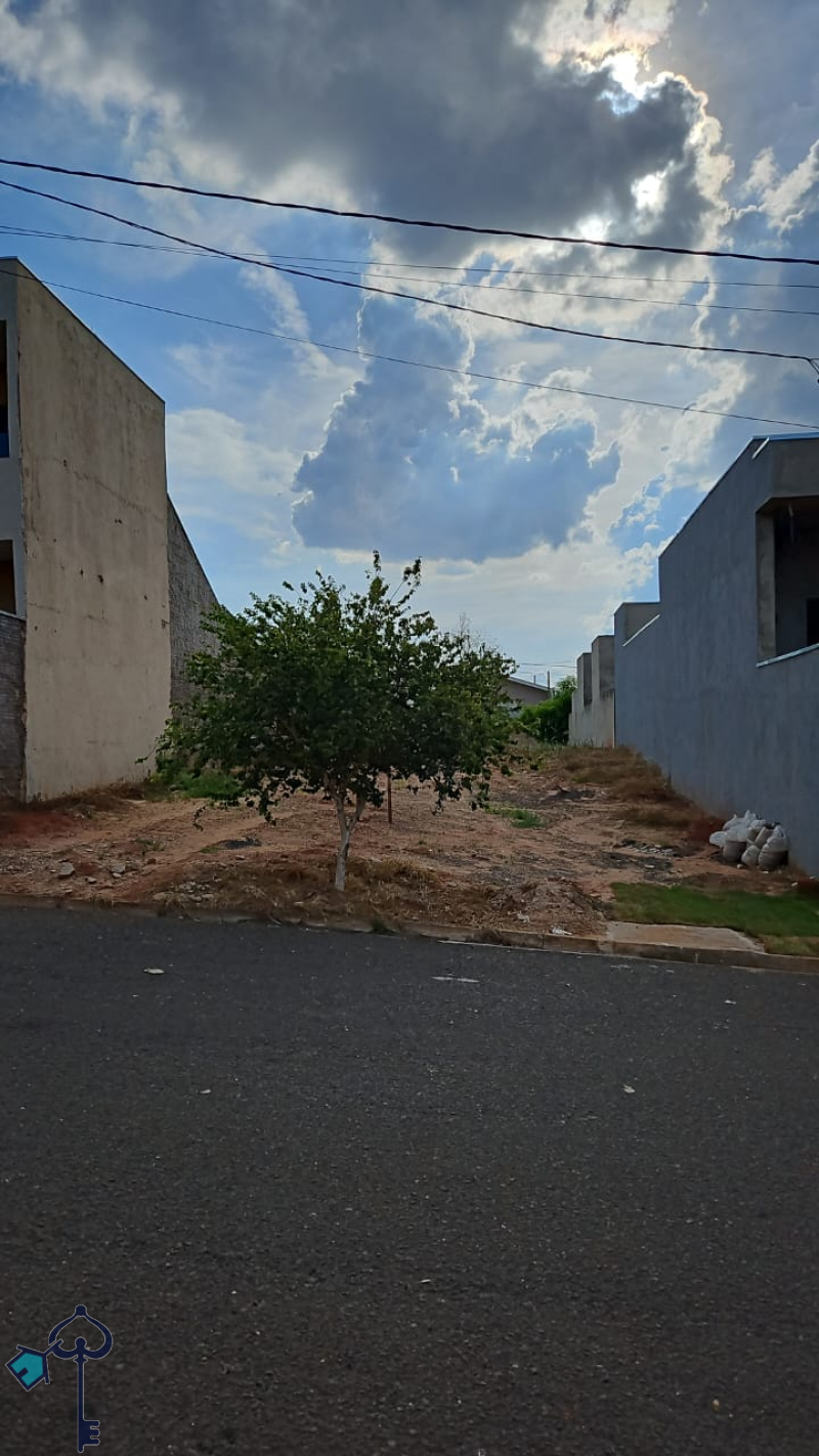 São José do Rio Preto/SP