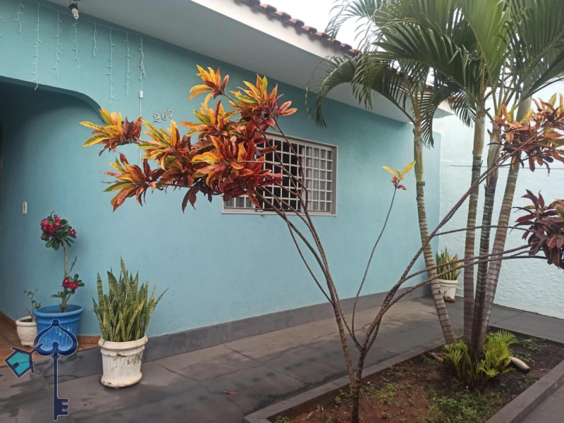 São José do Rio Preto/SP