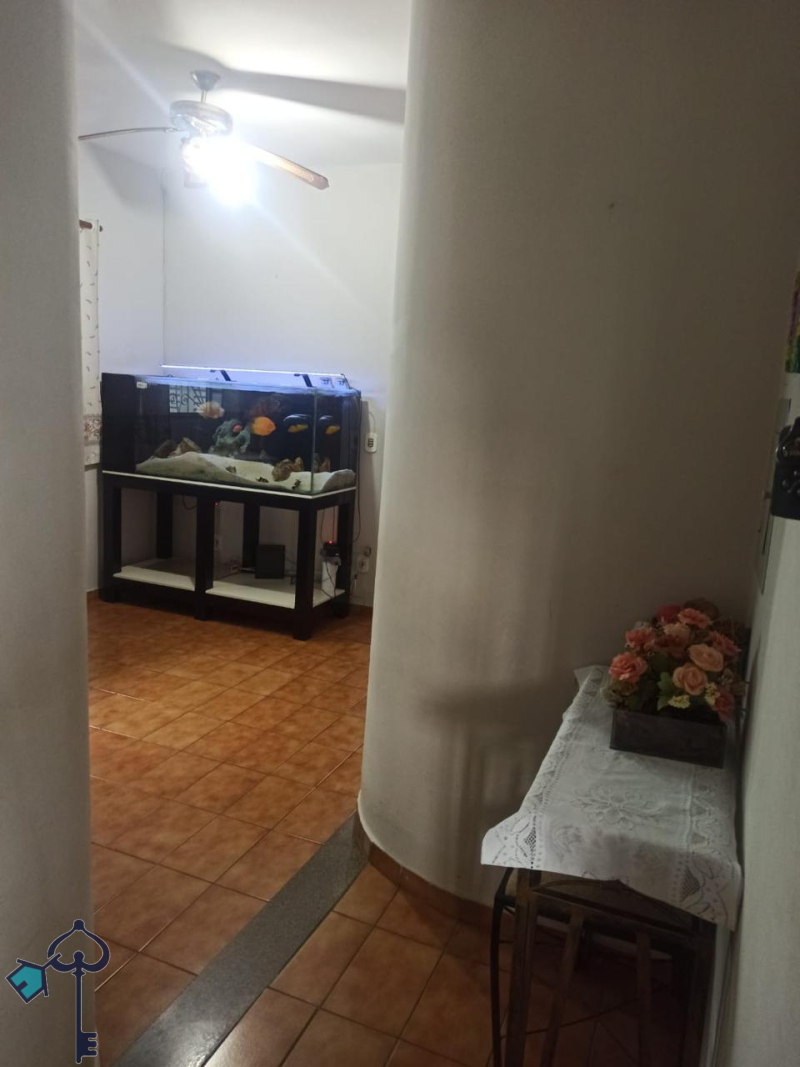 São José do Rio Preto/SP