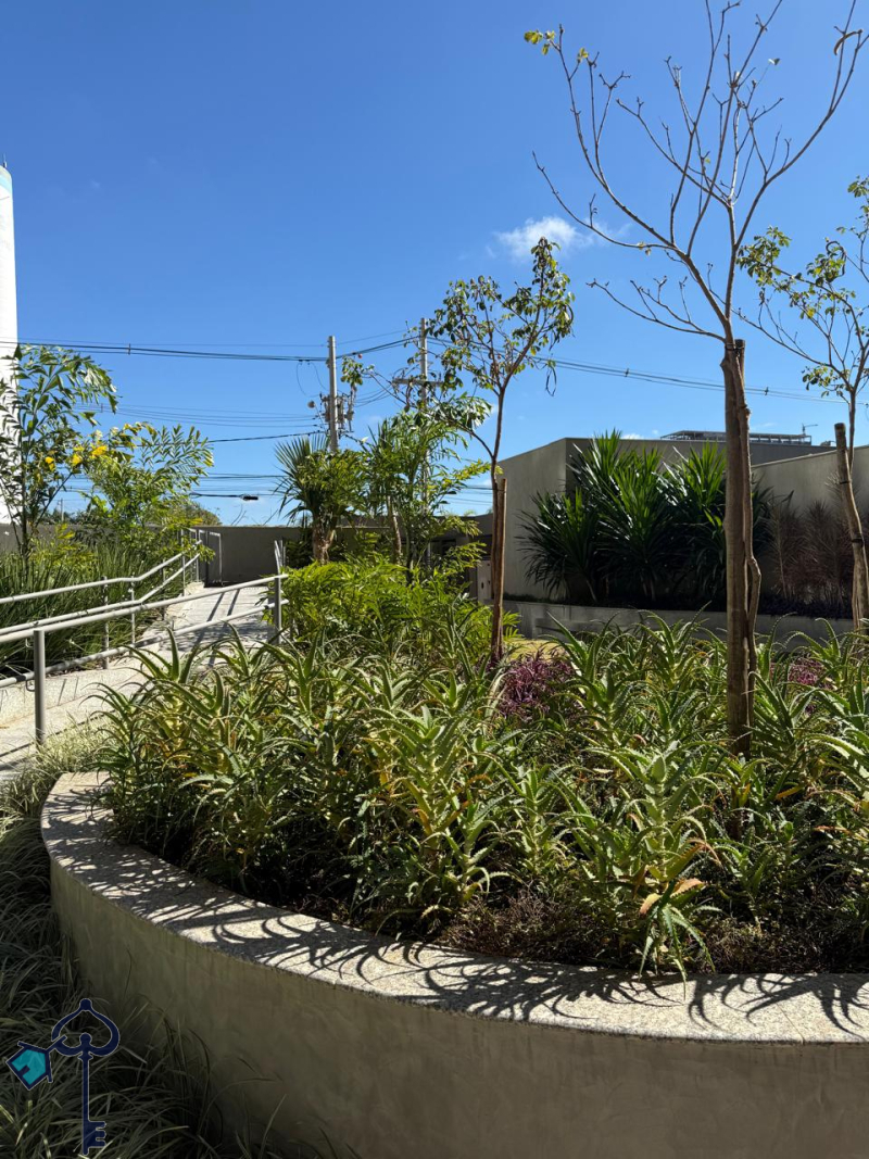 São José do Rio Preto/SP