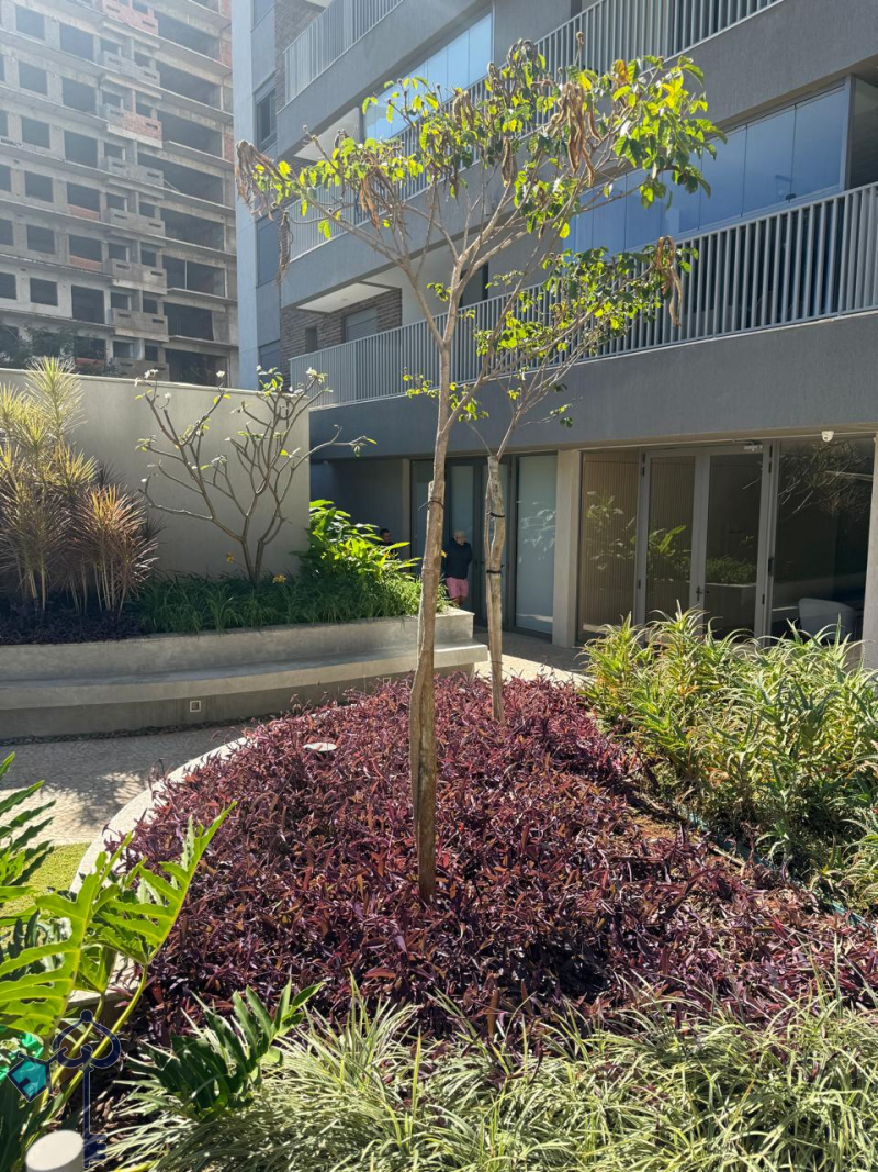 São José do Rio Preto/SP