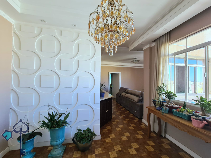 São José do Rio Preto/SP