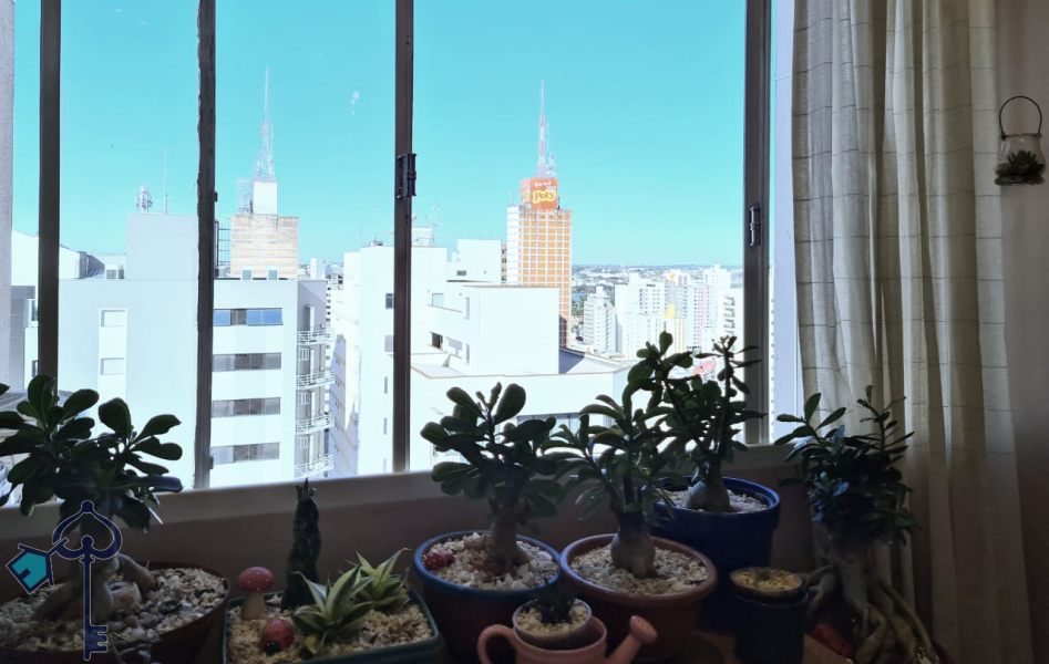 São José do Rio Preto/SP