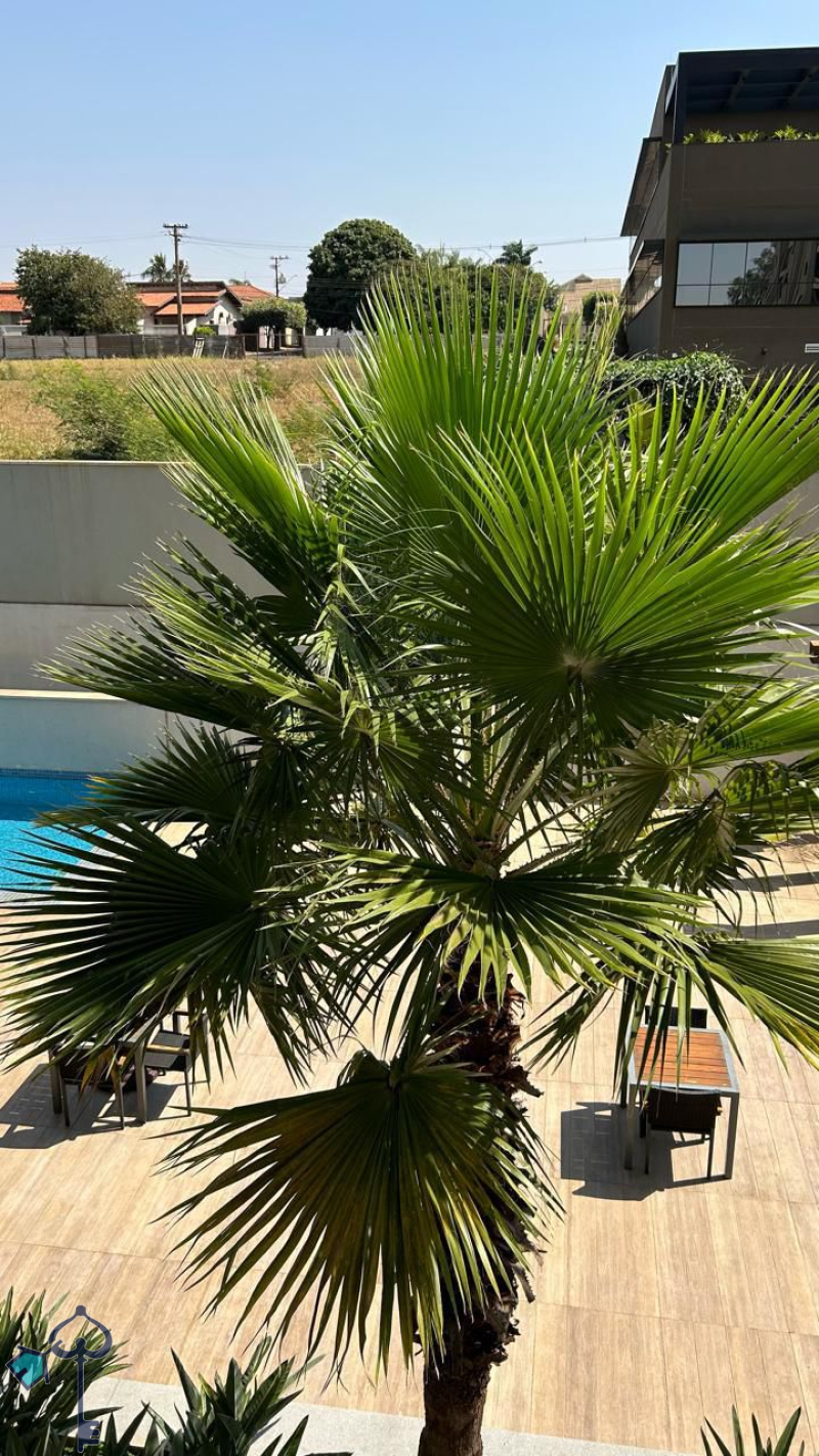 São José do Rio Preto/SP